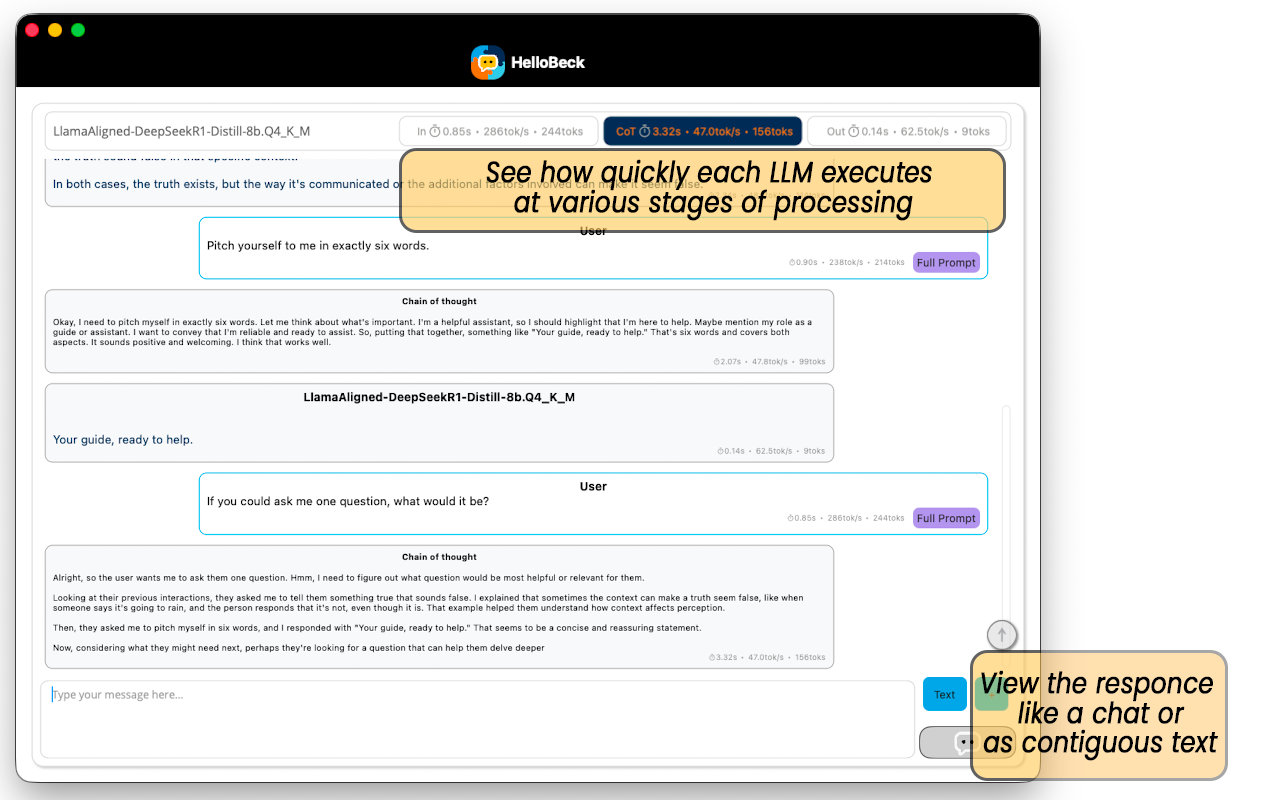 Hello Beck shows the token count and speed for each stage of processing with the Large Language Model.